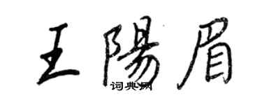 王正良王阳眉行书个性签名怎么写