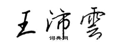王正良王沛云行书个性签名怎么写