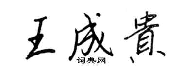王正良王成贵行书个性签名怎么写