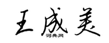 王正良王成美行书个性签名怎么写