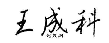 王正良王成科行书个性签名怎么写