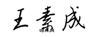 王正良王素成行书个性签名怎么写