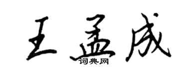 王正良王孟成行书个性签名怎么写