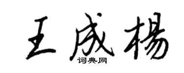 王正良王成杨行书个性签名怎么写