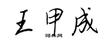 王正良王甲成行书个性签名怎么写