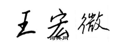 王正良王宏微行书个性签名怎么写