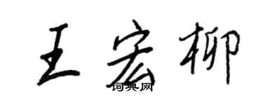王正良王宏柳行书个性签名怎么写