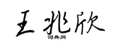 王正良王兆欣行书个性签名怎么写
