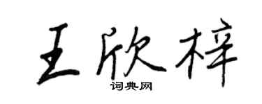 王正良王欣梓行书个性签名怎么写