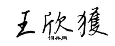 王正良王欣获行书个性签名怎么写