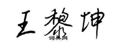 王正良王黎坤行书个性签名怎么写