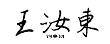 王正良王汝东行书个性签名怎么写