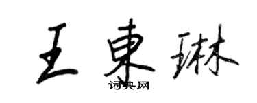 王正良王东琳行书个性签名怎么写