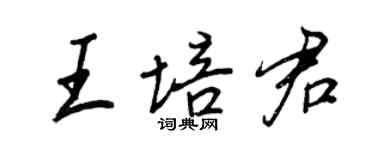 王正良王培君行书个性签名怎么写