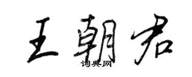 王正良王朝君行书个性签名怎么写