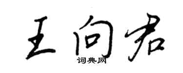 王正良王向君行书个性签名怎么写