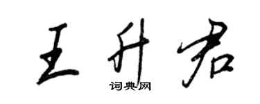 王正良王升君行书个性签名怎么写