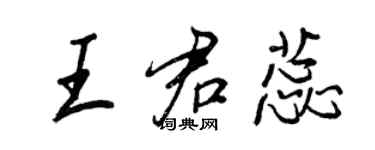王正良王君蕊行书个性签名怎么写