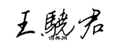 王正良王骁君行书个性签名怎么写