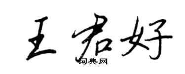 王正良王君好行书个性签名怎么写