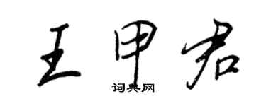 王正良王甲君行书个性签名怎么写