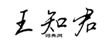 王正良王知君行书个性签名怎么写