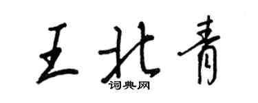 王正良王北青行书个性签名怎么写