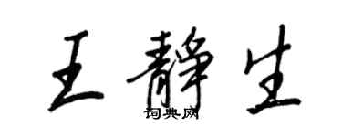 王正良王静生行书个性签名怎么写