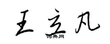 王正良王立凡行书个性签名怎么写
