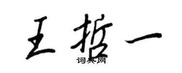 王正良王哲一行书个性签名怎么写