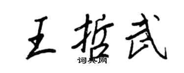王正良王哲武行书个性签名怎么写