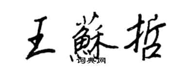 王正良王苏哲行书个性签名怎么写