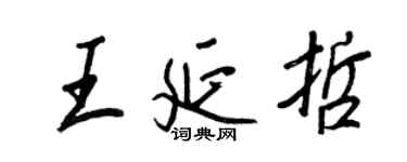 王正良王延哲行书个性签名怎么写