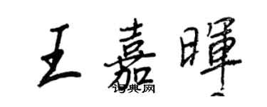 王正良王嘉晖行书个性签名怎么写