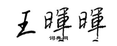 王正良王晖晖行书个性签名怎么写