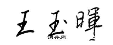 王正良王玉晖行书个性签名怎么写