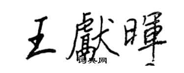 王正良王献晖行书个性签名怎么写