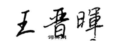 王正良王晋晖行书个性签名怎么写