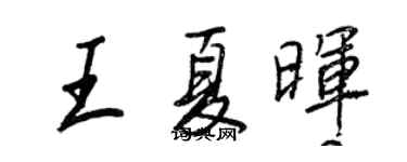 王正良王夏晖行书个性签名怎么写