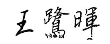 王正良王鹭晖行书个性签名怎么写