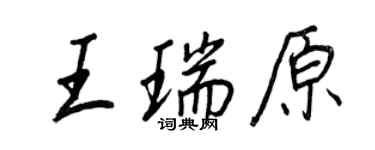 王正良王瑞原行书个性签名怎么写