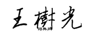 王正良王树光行书个性签名怎么写