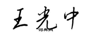 王正良王光中行书个性签名怎么写