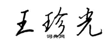 王正良王珍光行书个性签名怎么写