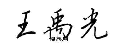 王正良王禹光行书个性签名怎么写