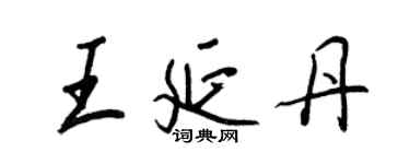 王正良王延丹行书个性签名怎么写