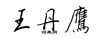 王正良王丹鹰行书个性签名怎么写
