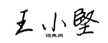 王正良王小坚行书个性签名怎么写