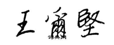 王正良王尔坚行书个性签名怎么写