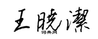 王正良王晓洁行书个性签名怎么写